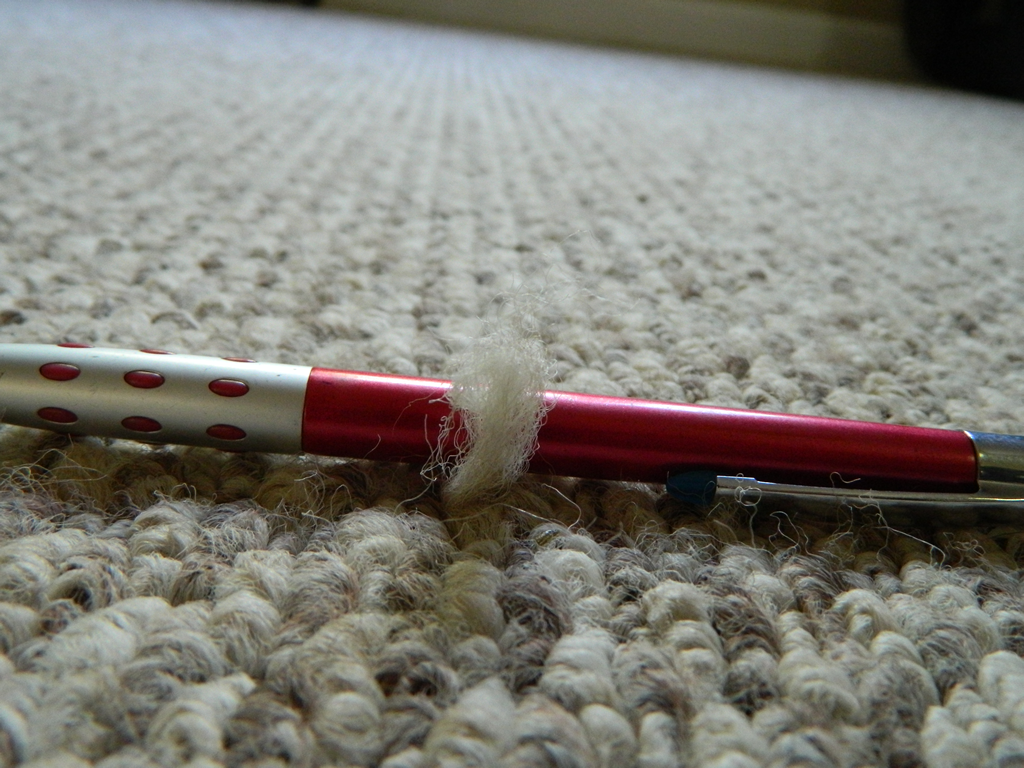 Getting rid of carpet snags with the help of floor detective Floor