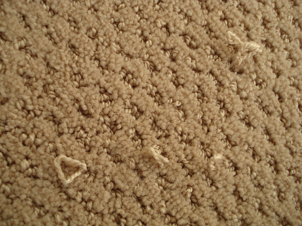 Getting rid of carpet snags with the help of floor detective Floor