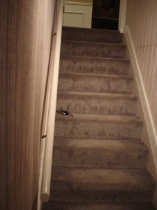 Steps Performance Issues 1