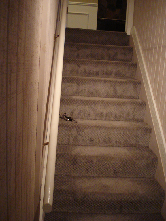 Steps Performance Issues 1