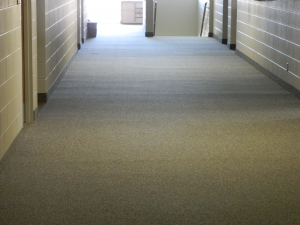 Telegraphing Subfloor 1