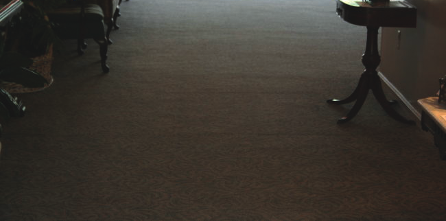 Telegraphing Subfloor 2