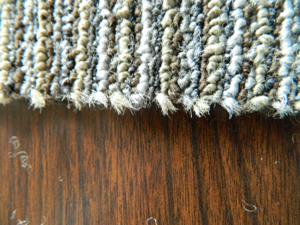 Why carpet tile edges are fuzzy and how to fix them at Floor Detective