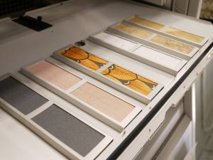 Xenon_Closeup_samples-1