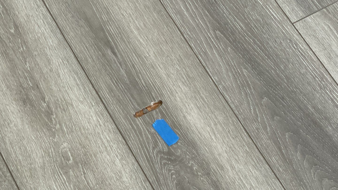 18-Aug 05 2021 11_16am-91Hz