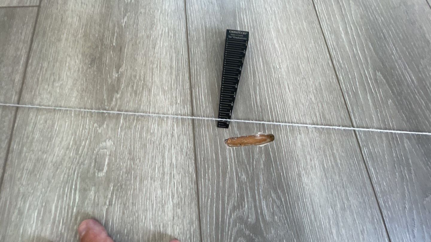 36-Aug 05 2021 11_23am-ubEL