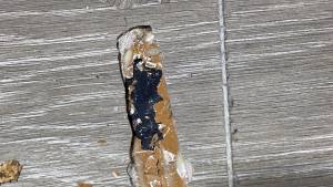 38-Aug 05 2021 11_25am-YAuK