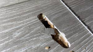 41-Aug 05 2021 11_25am-Fduu