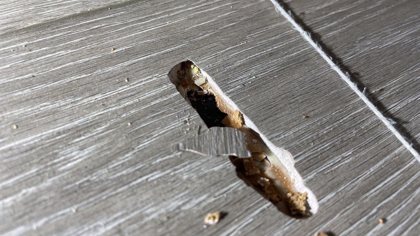 41-Aug 05 2021 11_25am-Fduu