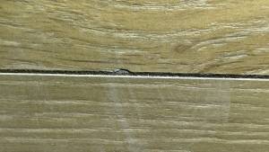 42-Apr 07 2022 11_07am-mvMK