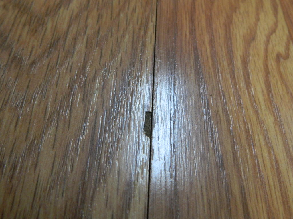Chipping Problem in Hardwood Floor Inspection Services Here
