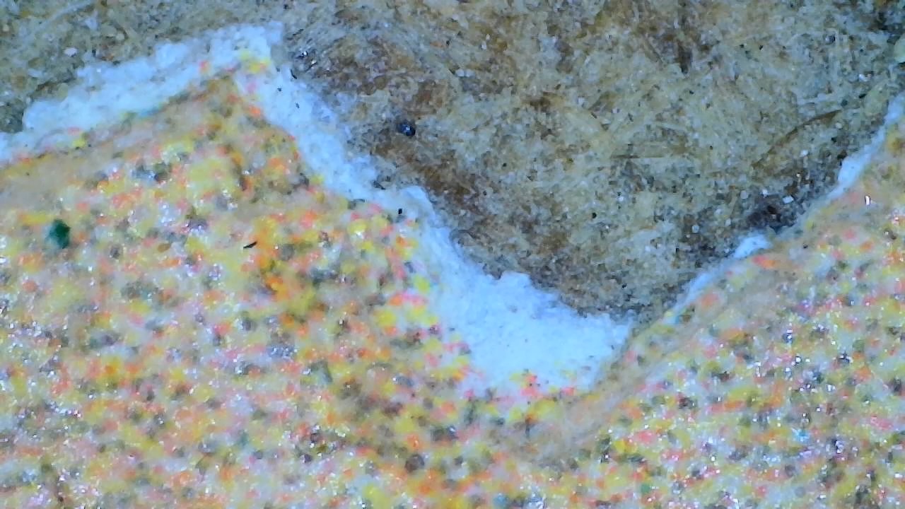 Micro Chipping 03596