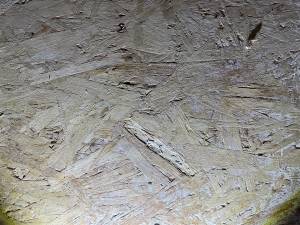 14-May 06 2022 04_15pm-yLC3