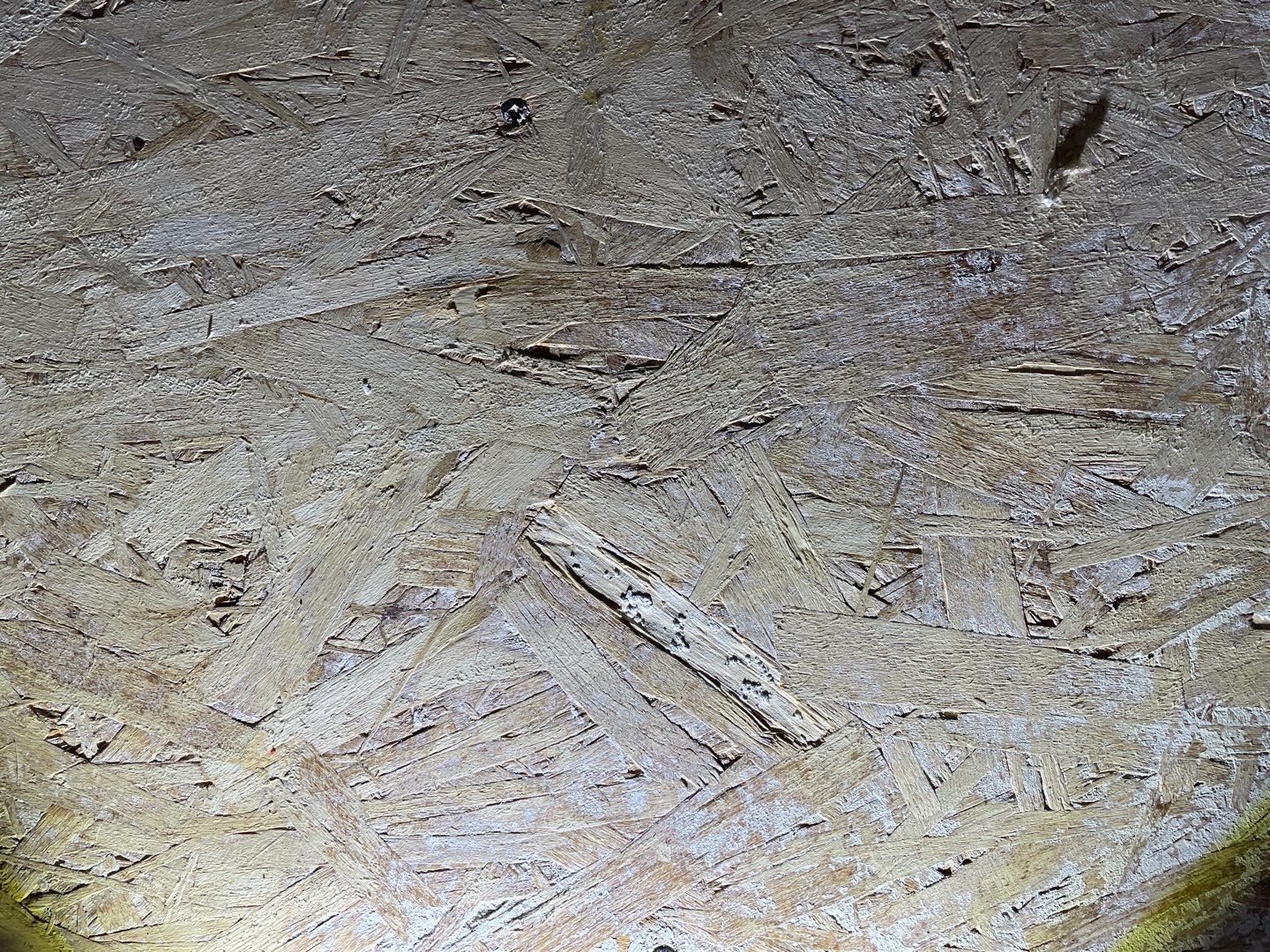 14-May 06 2022 04_15pm-yLC3