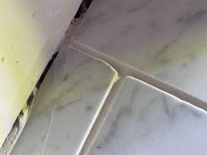 70-May 10 2022 03_31pm-ck9T