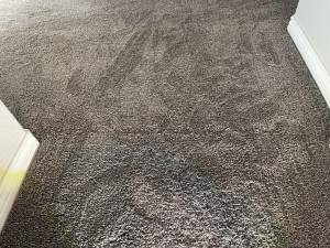 3-Dec 14 2022 03_32pm-Po4c